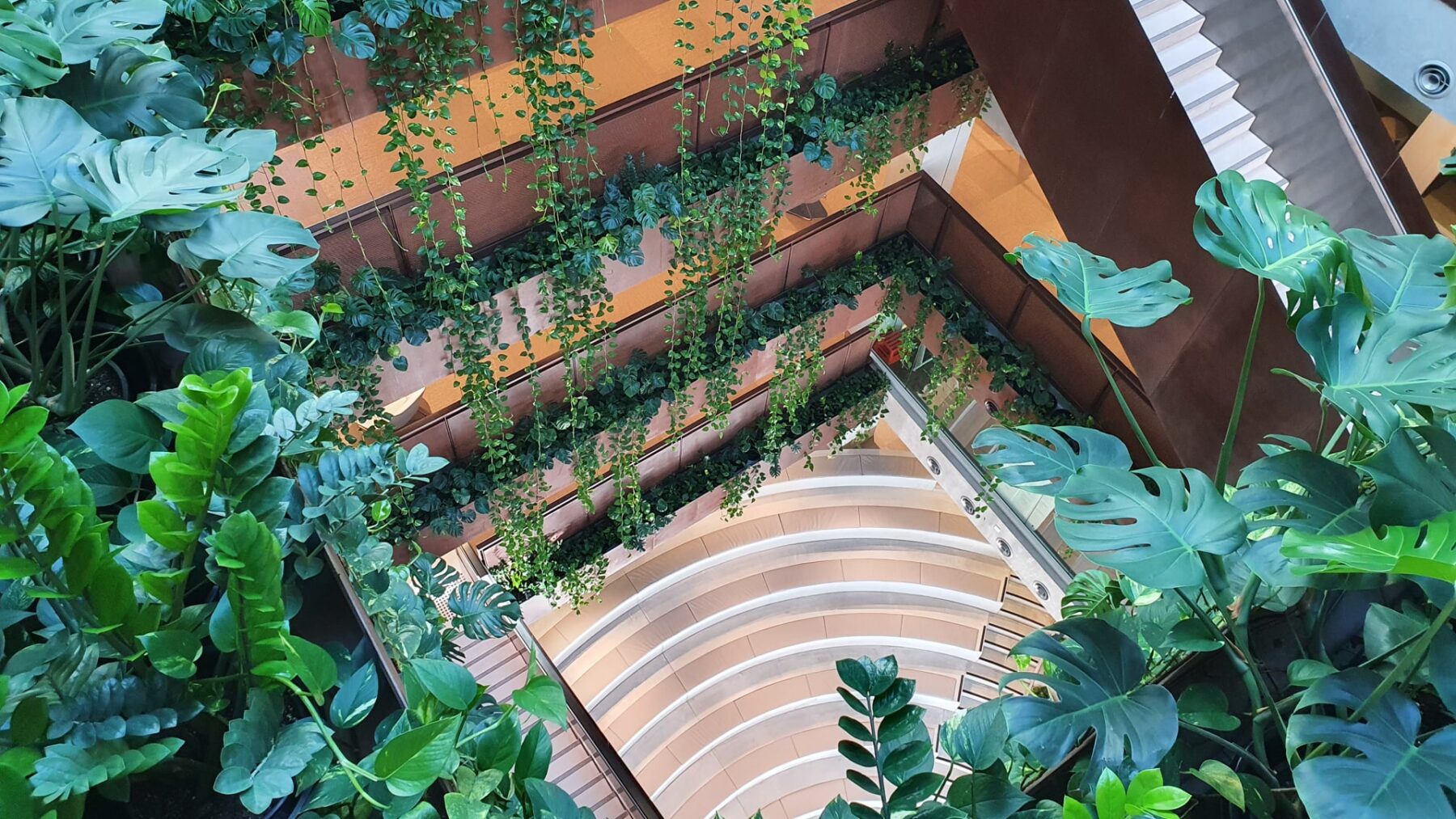 AsheMorgan_Assets_Midtown_Centre_Rio_Tinto_AtriumWEB-min